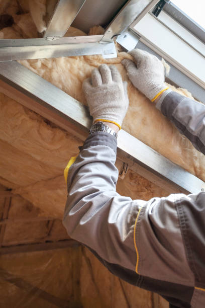 Best Commercial Insulation Services  in Tucumcari, NM